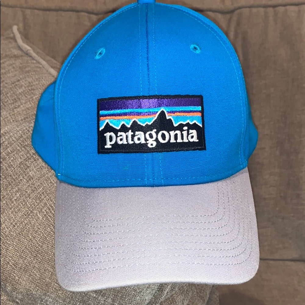 Patagonia Blue and Silver Hat
